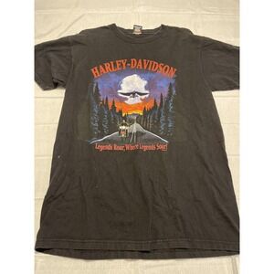 Vintage Harley Davidson Bikers Womens Short Sleeve T Shirt Size L Seattle, Wash.